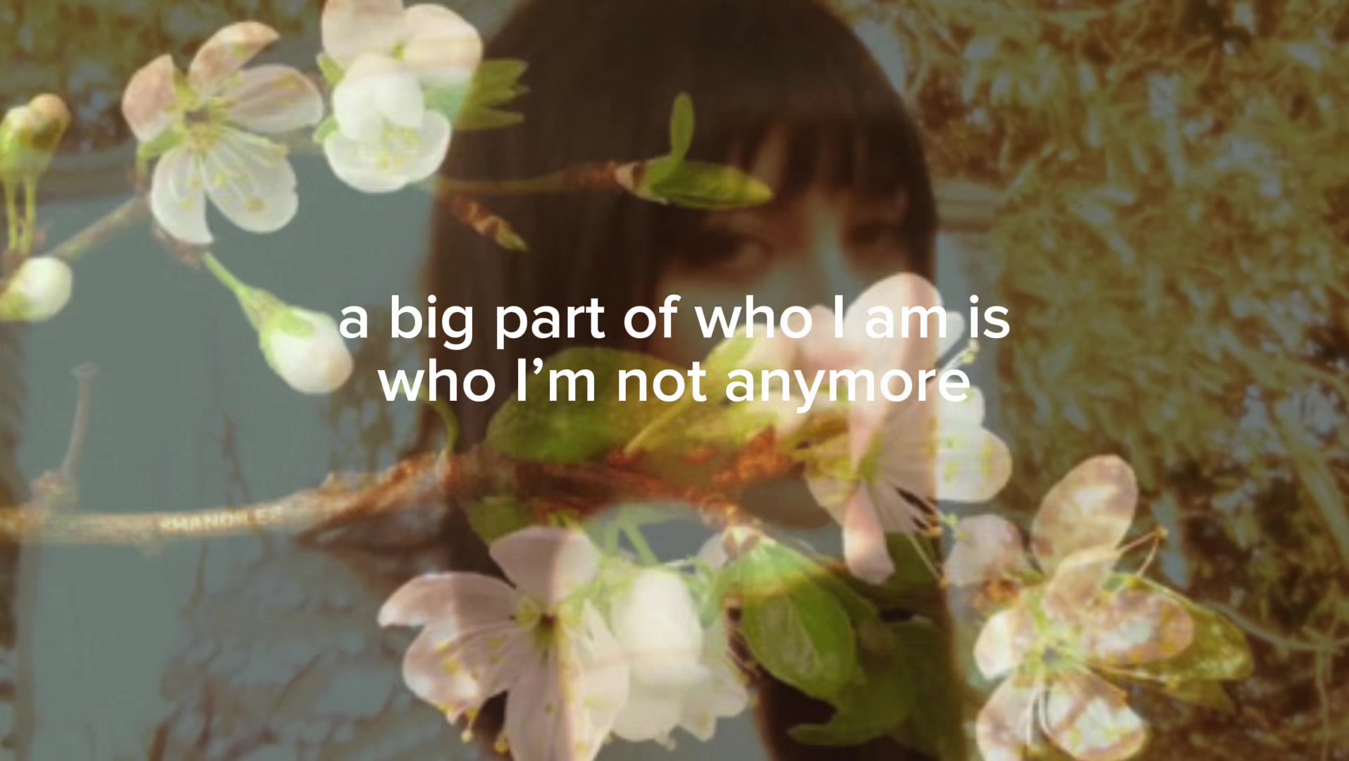 @baskinginthesadness ♡🦢✧