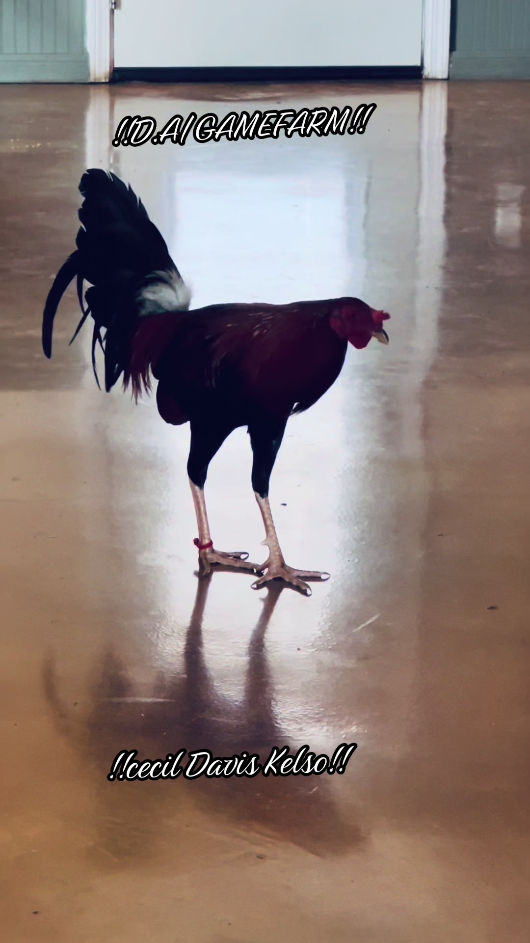 @DAgamefarm
