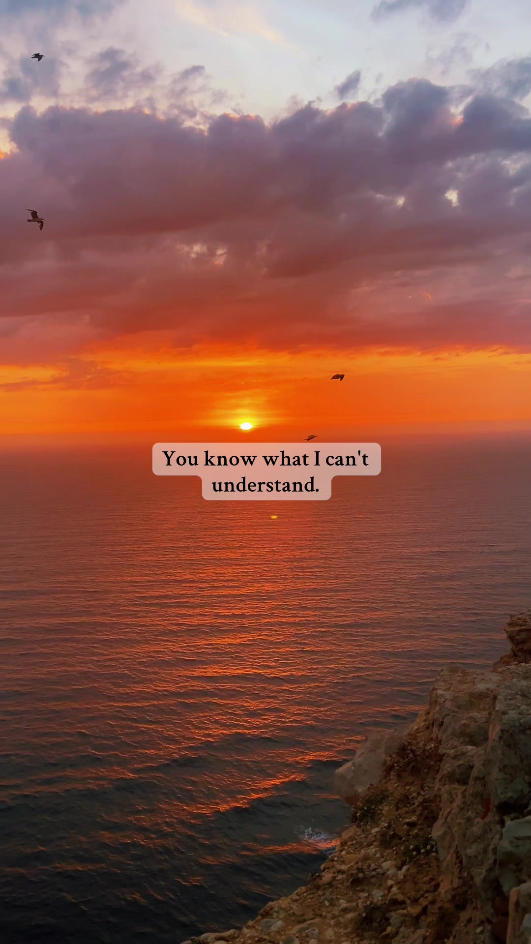 @Daily Inspiration