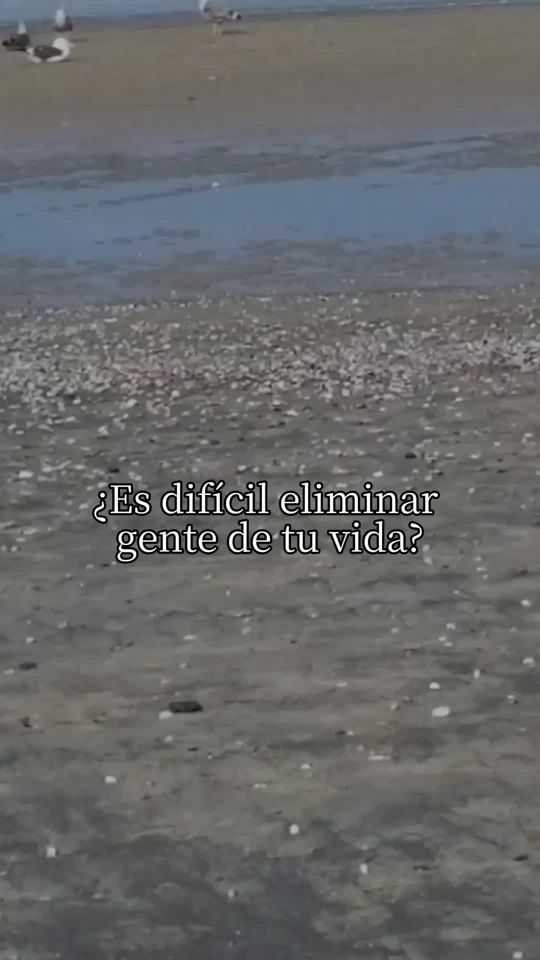 @nohemi