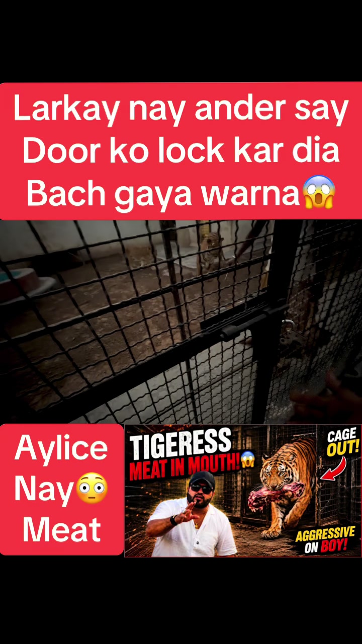 @Mian saqib