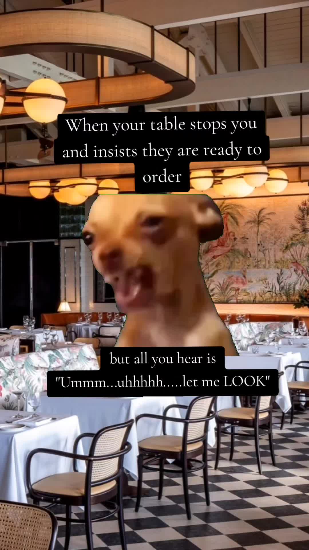 @TooMuchTiffany