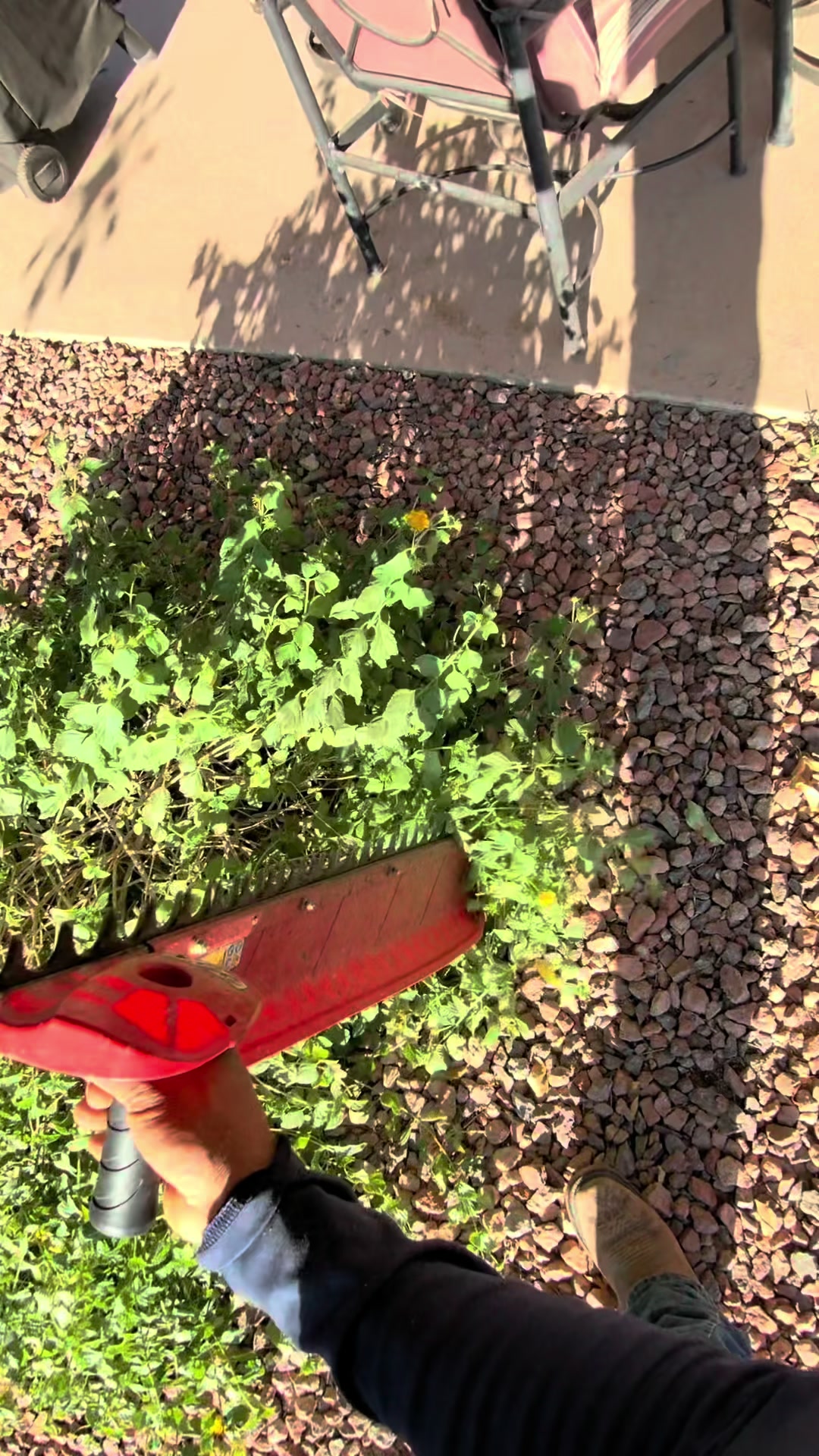 @landscaping