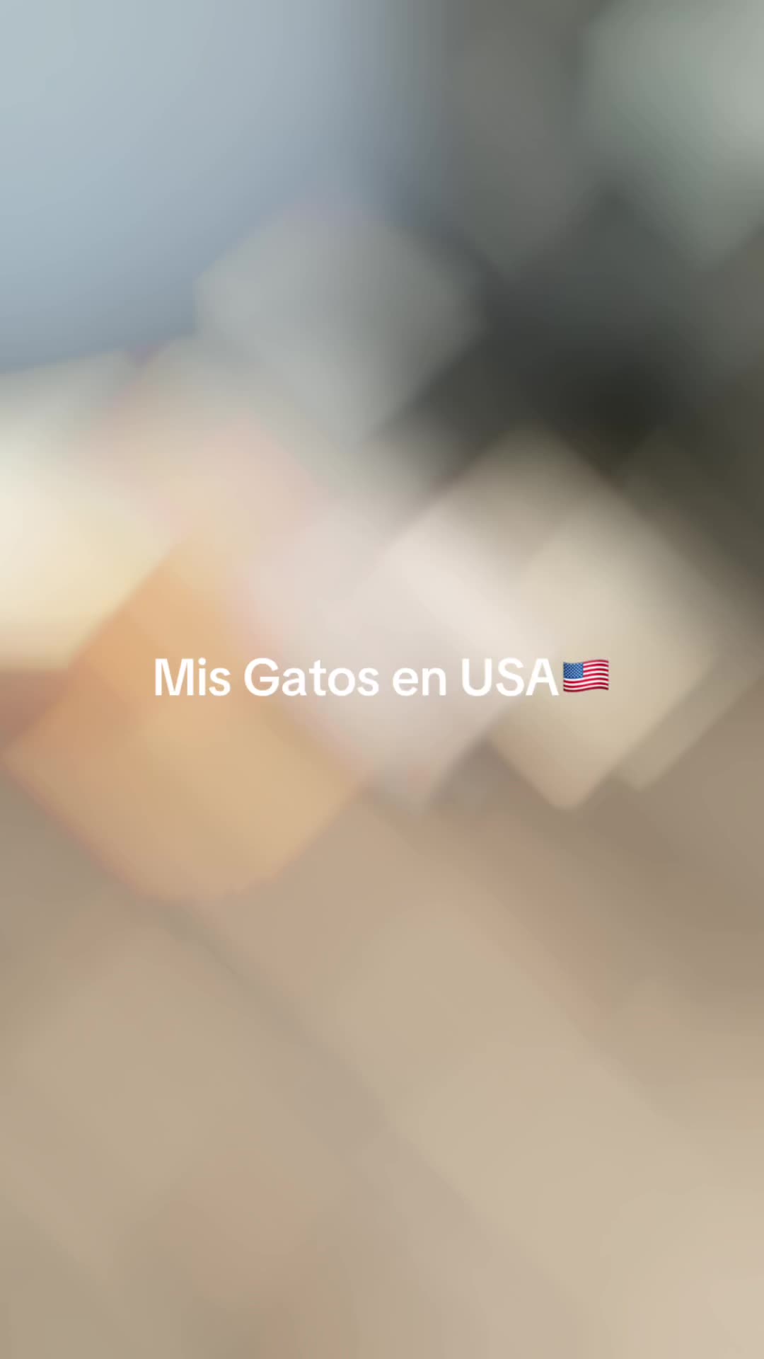 @Vero Zarate