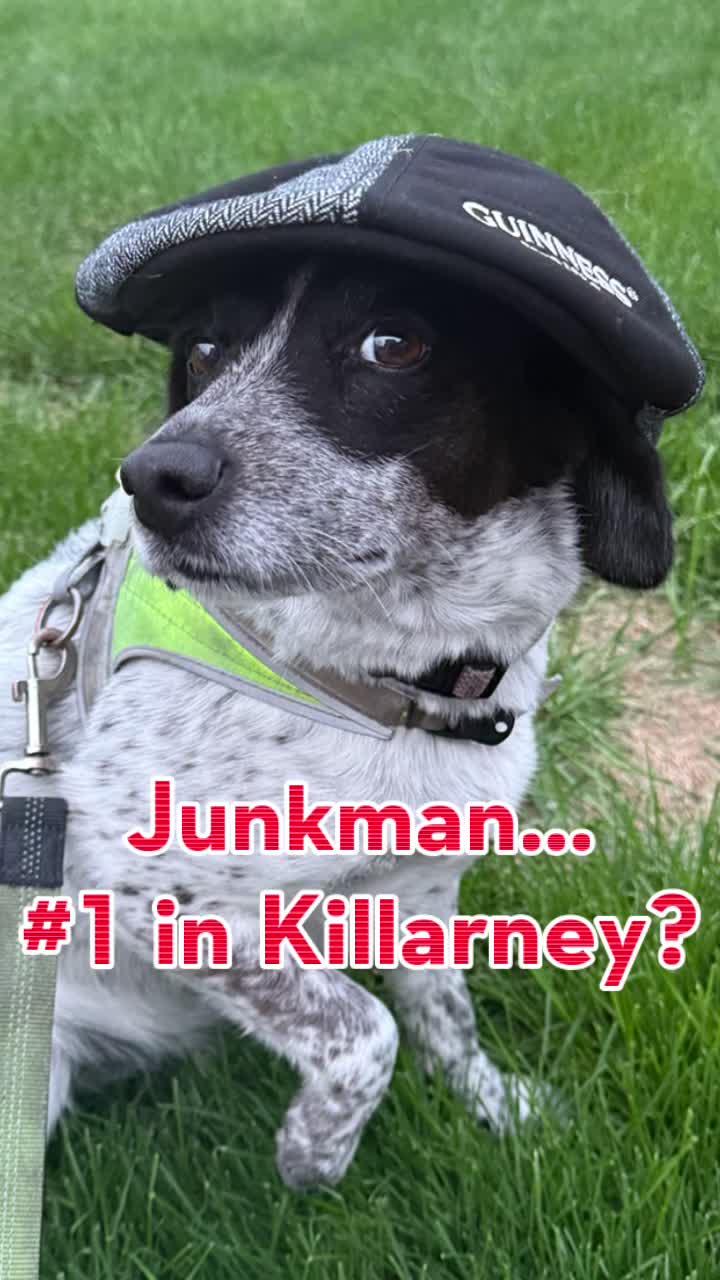 @JoelTheJunkman