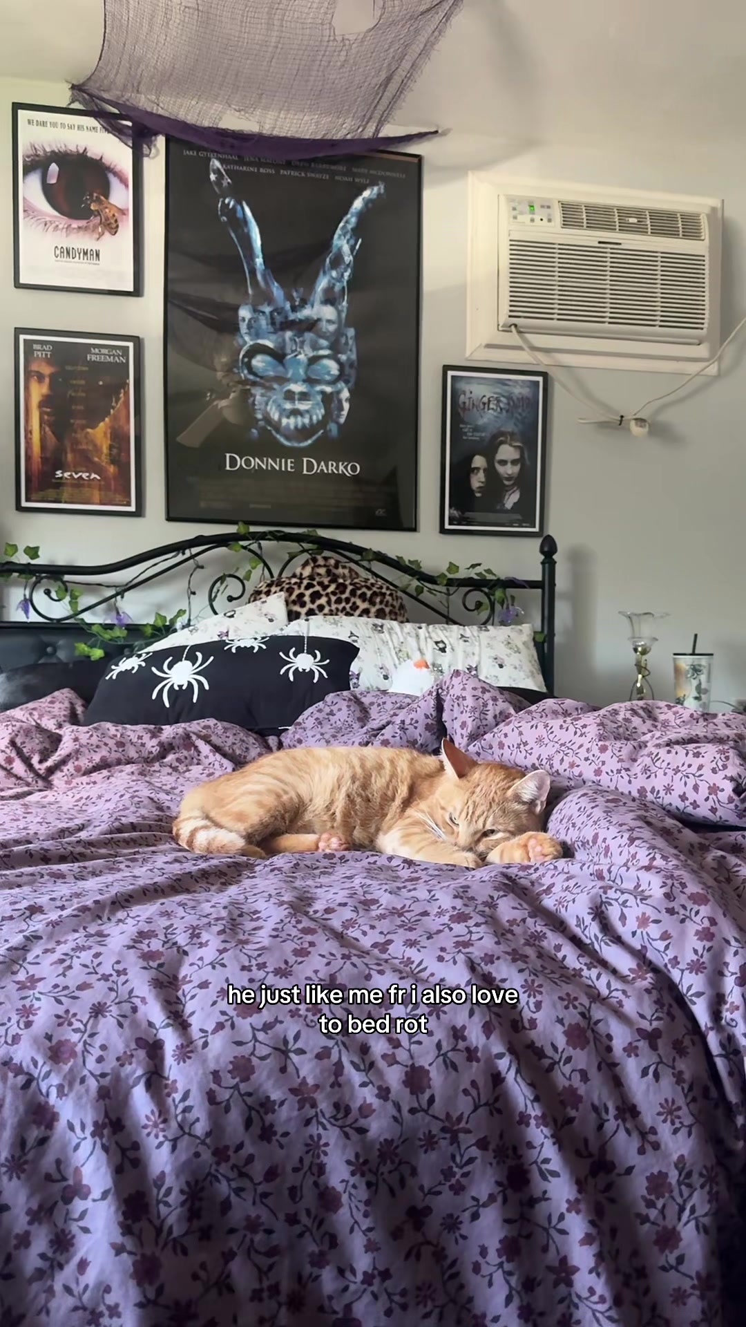 @paige 🎧🐈&zwj;⬛🎞️