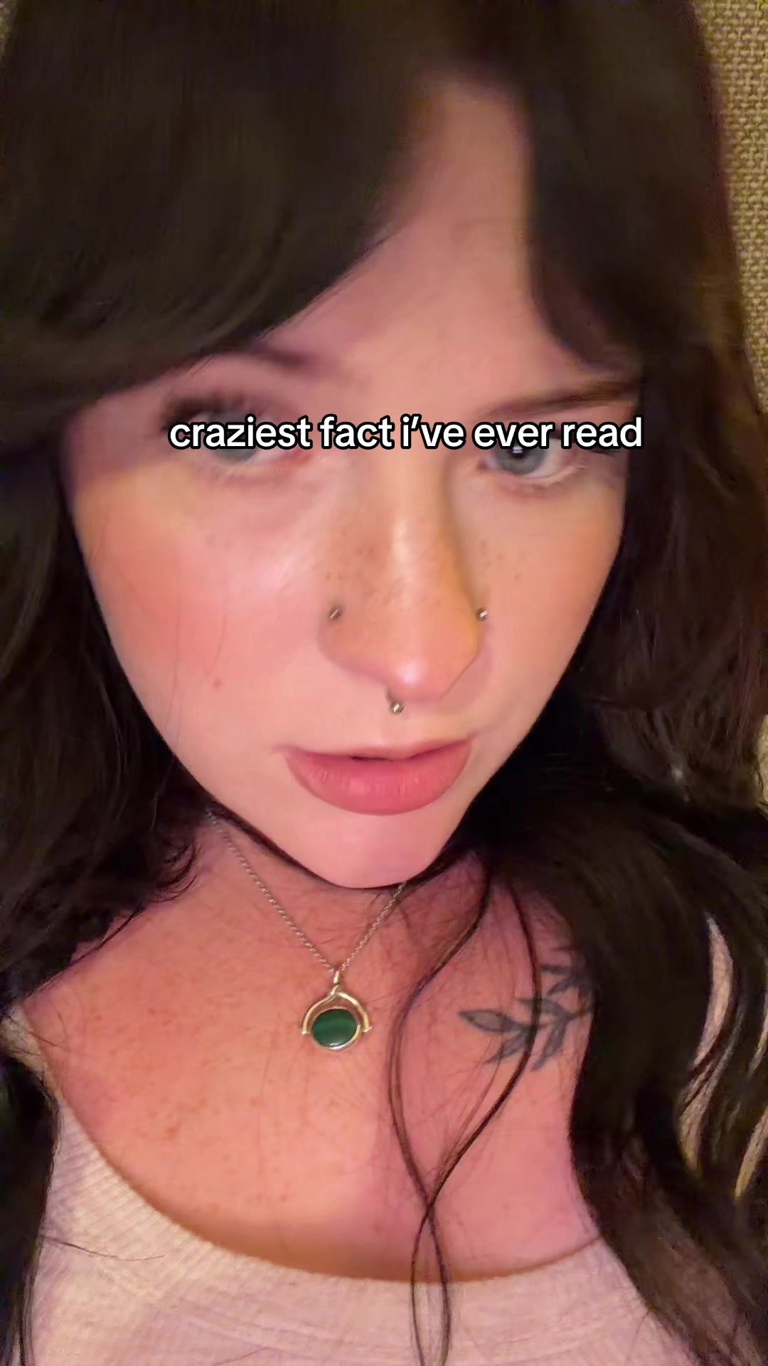 @elfbxby444