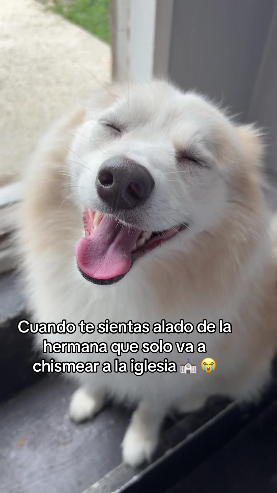 @Elias🤴🏻🪖
