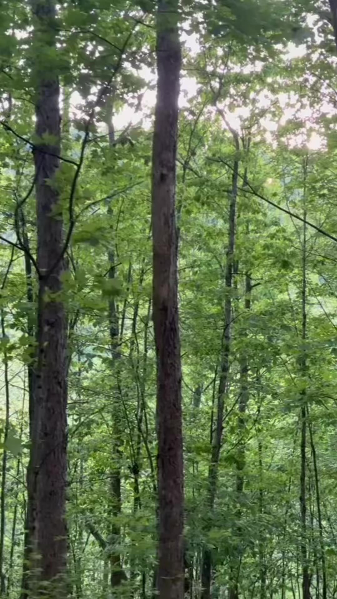 @Mother Earth ๐ ๐๐