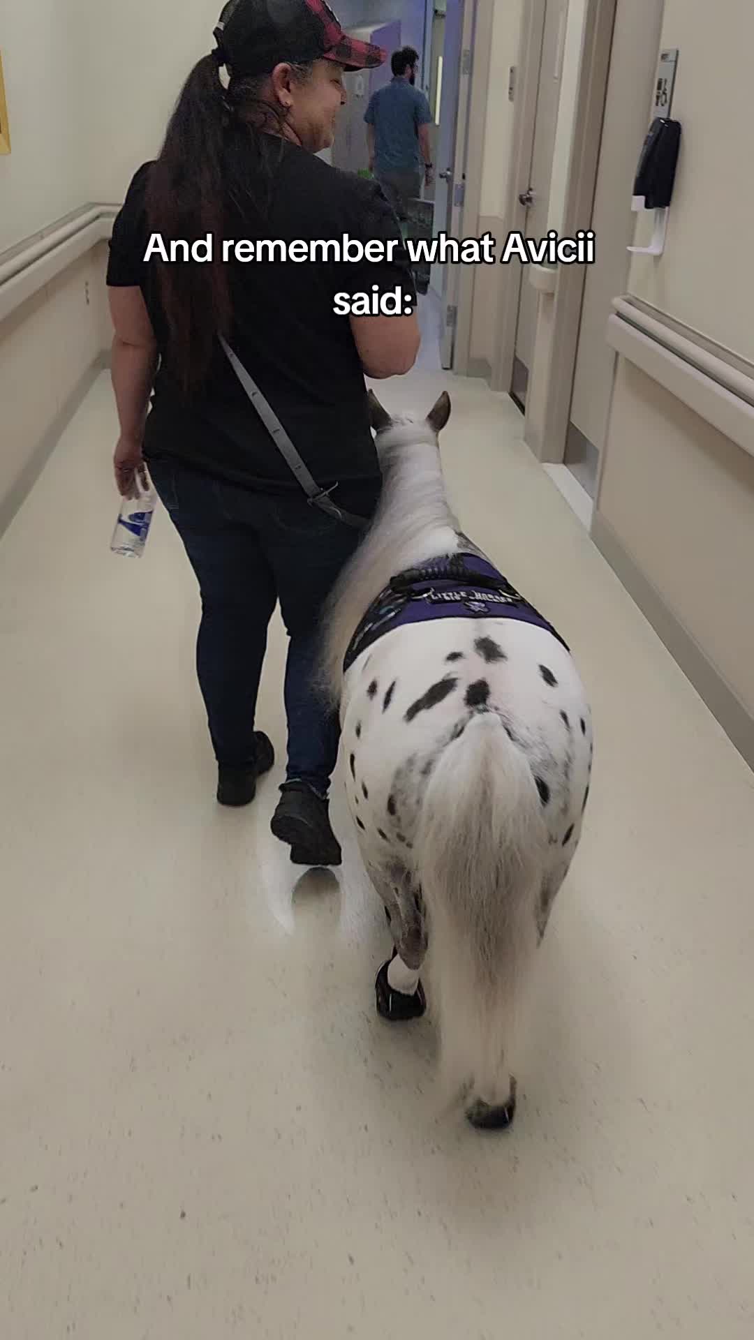 @minihorsemomandtrainer🐴🐴🐴🐴