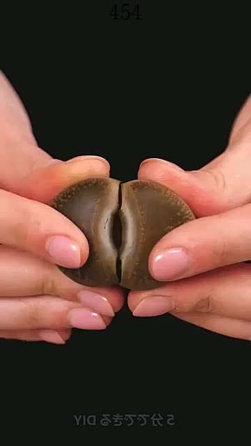 @nicolehudson9508