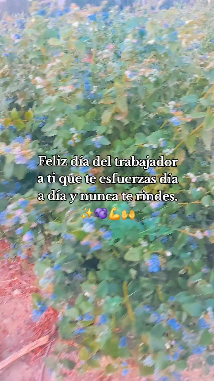 @fazeli_alfap