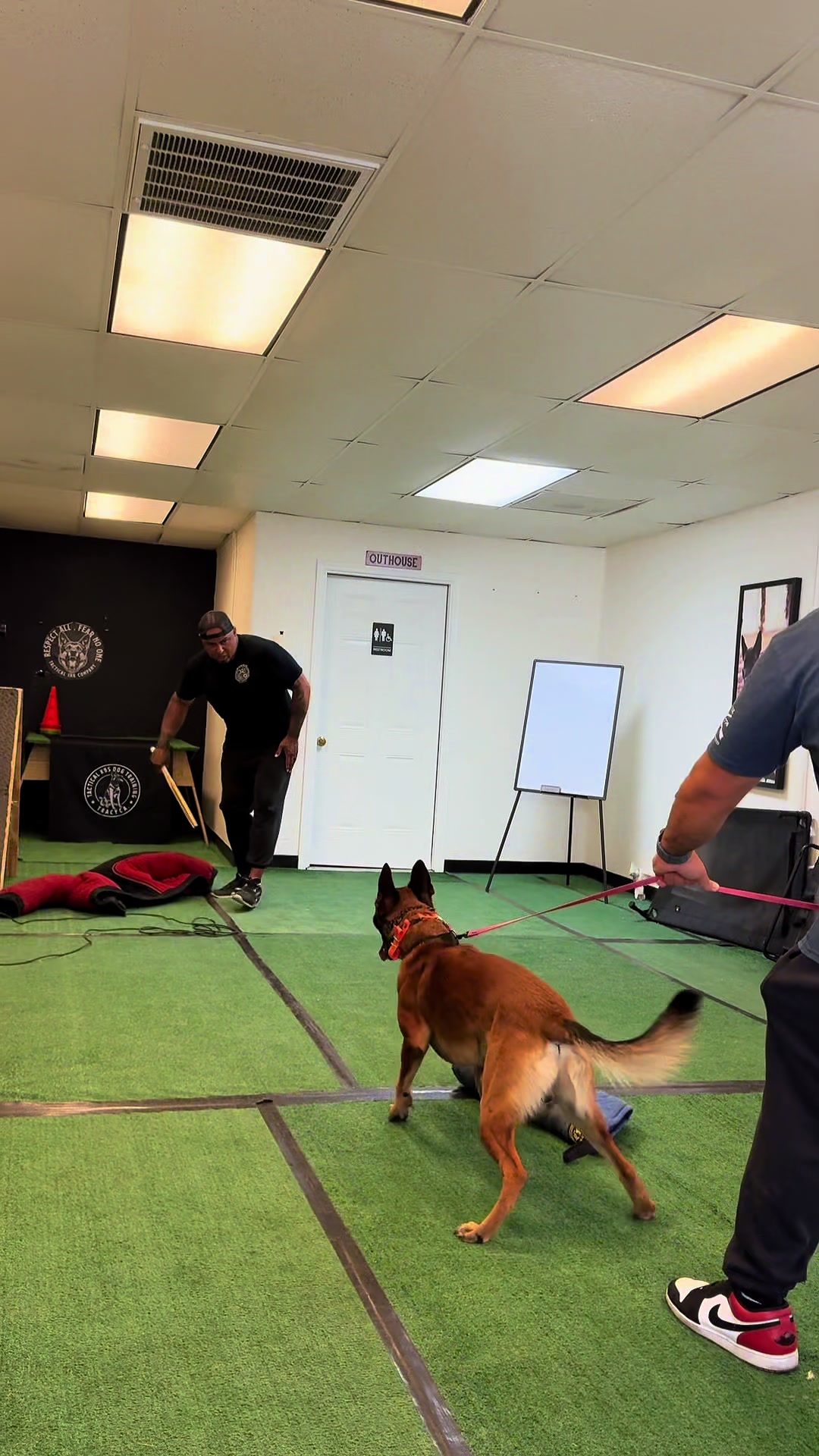 @Tactical K9s Dog Training