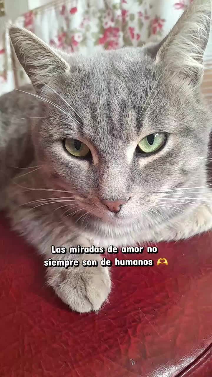@&bull;Estefania&bull;