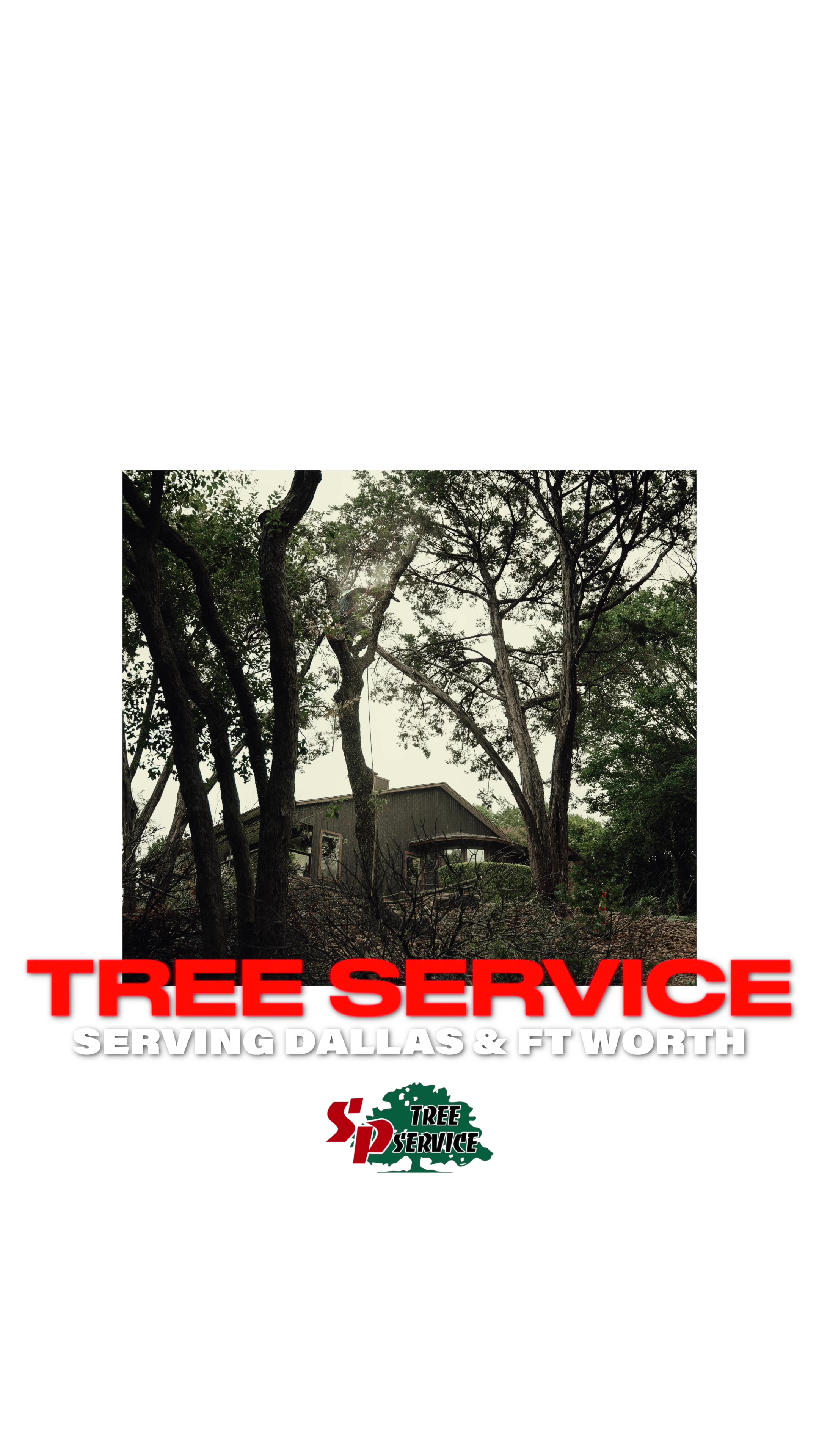 @SPTreeService