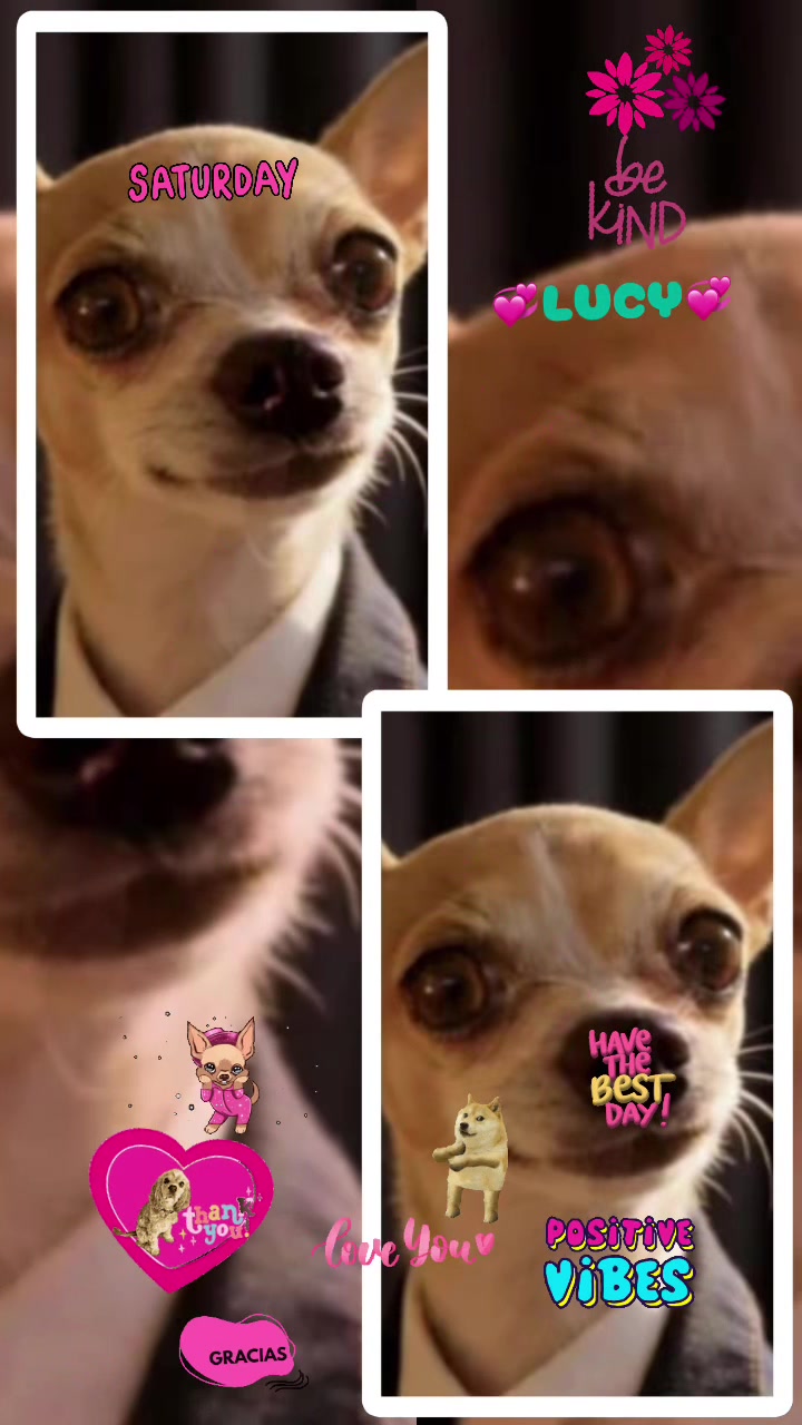 @Lucy