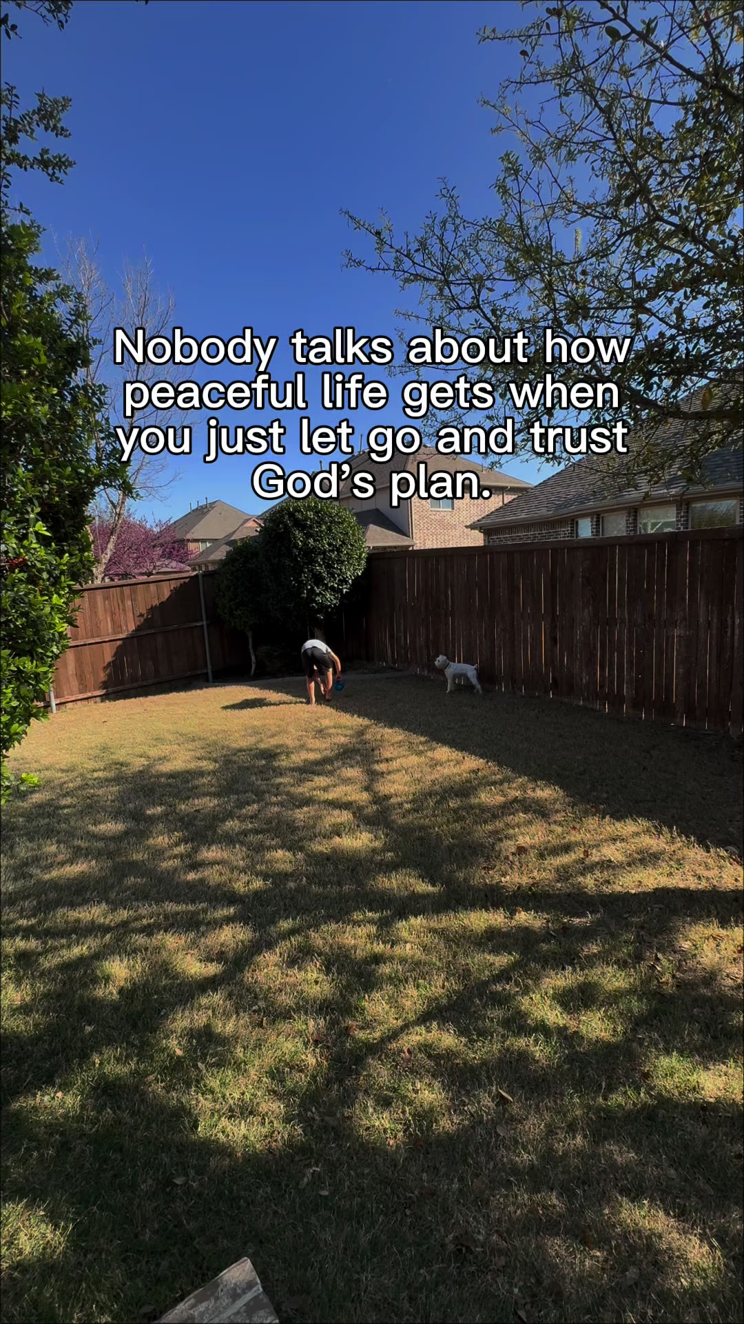 @Your friend Sunny!