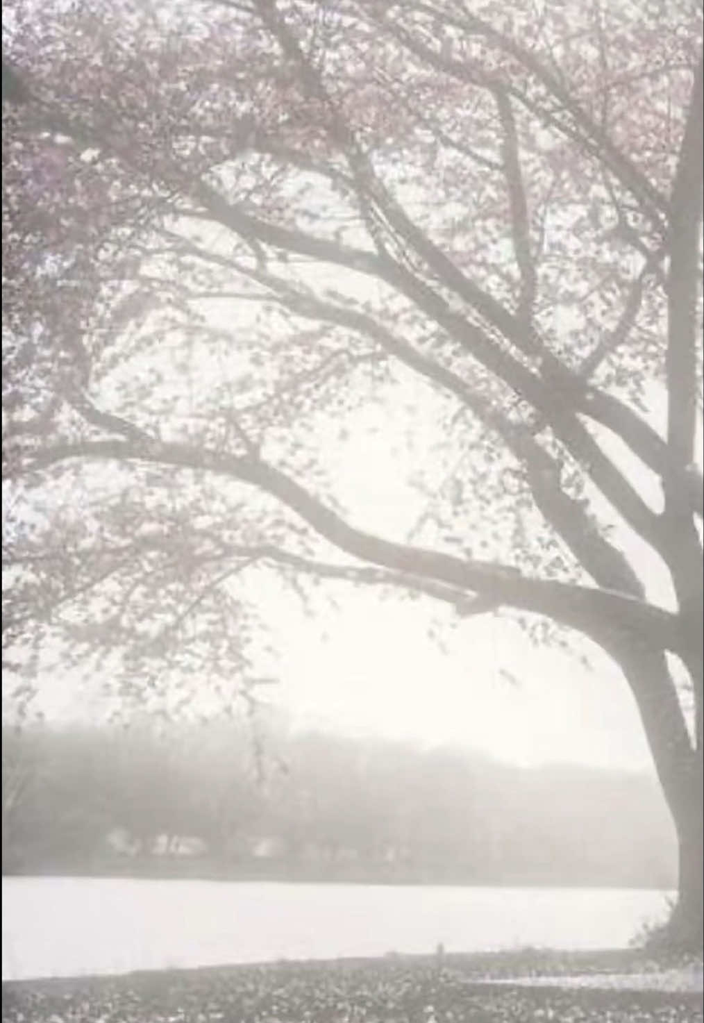 @𝒶𝓋ℯ𝓇𝓎|| 𝓂ℴℴ𝓉 𝓂ℯ 🪽