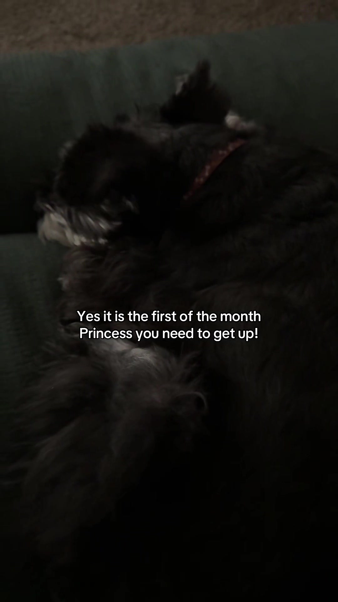 @Princess Pepper