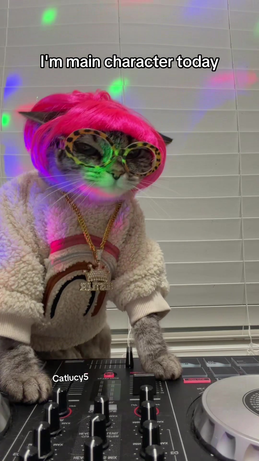 @Cat Lucy