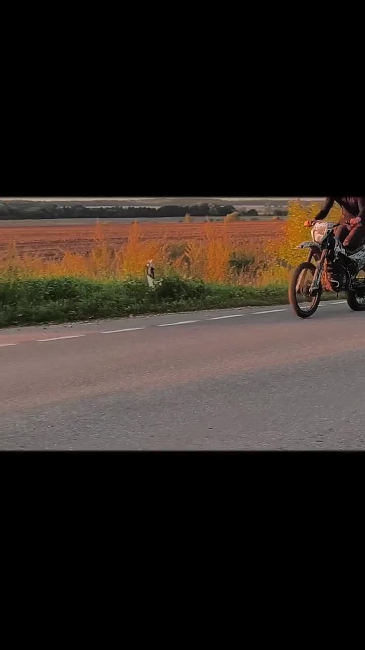 @亗Kotik么dark亗