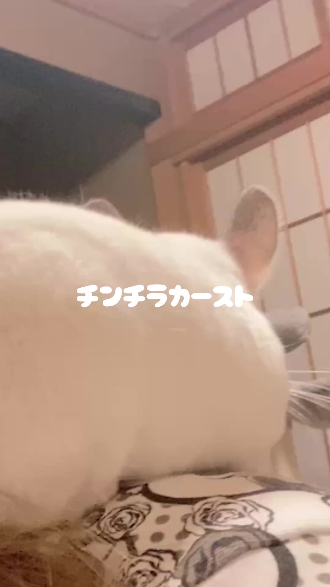 @マツモトハナノ
