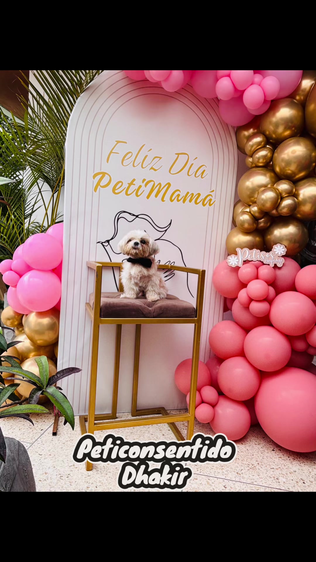@🐾 Petisos 🐾
