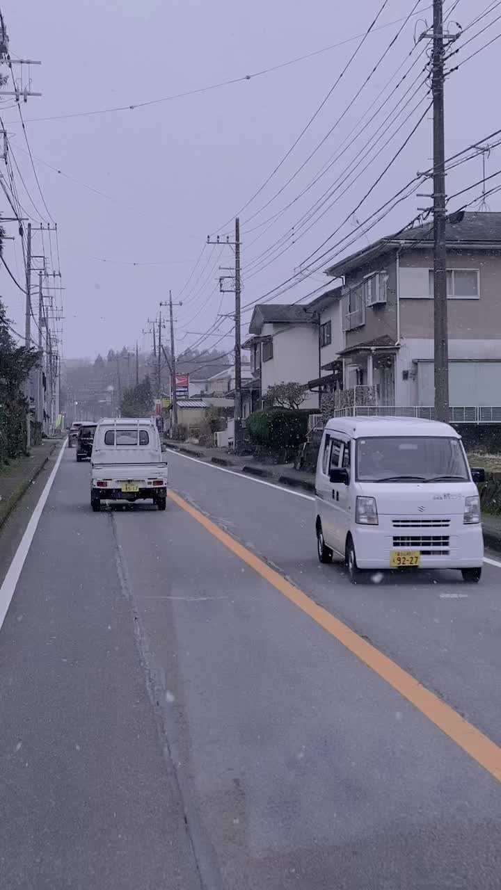 @日本vibes