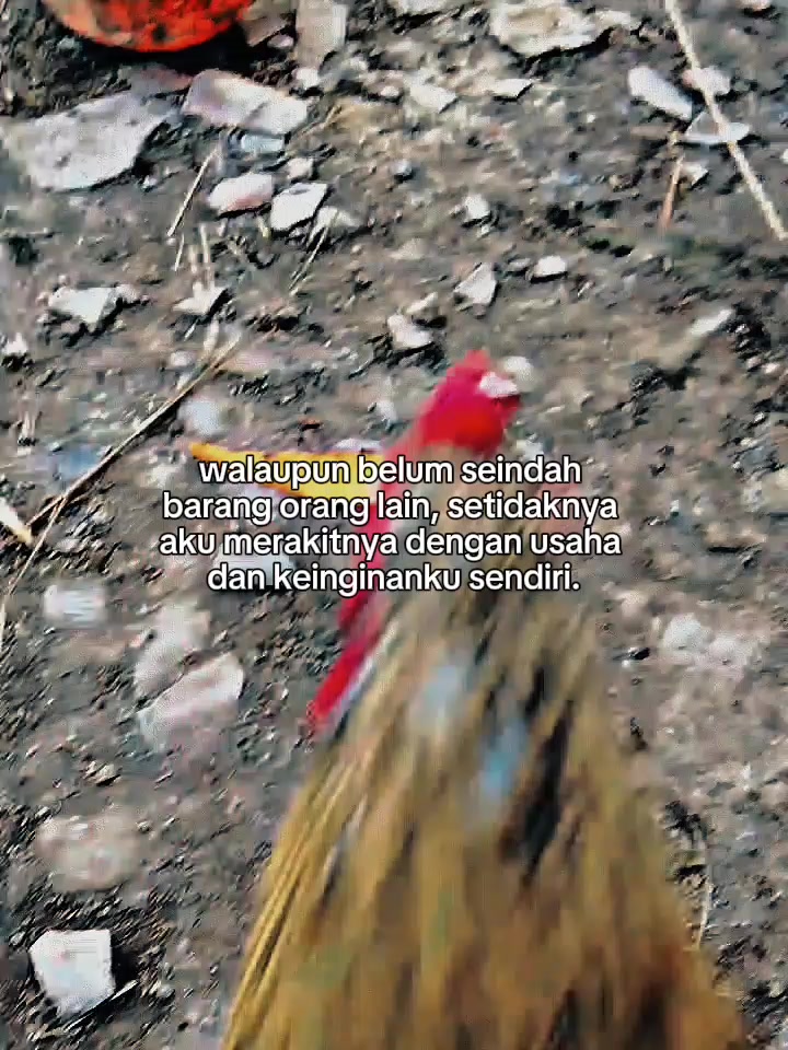 @cahnganggor