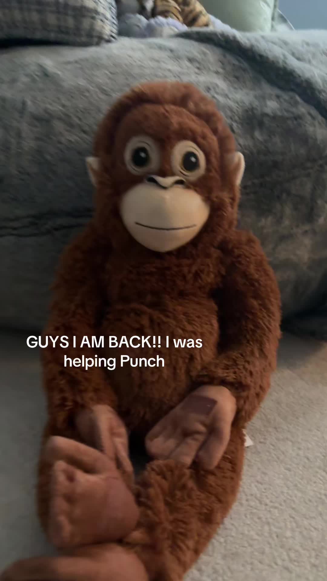 @Ziggy 🐵