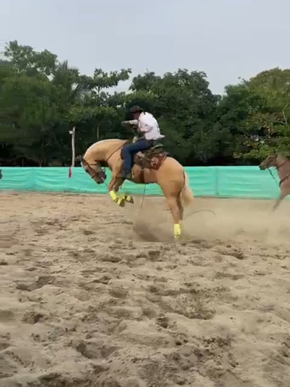 @Caballos y Reatas