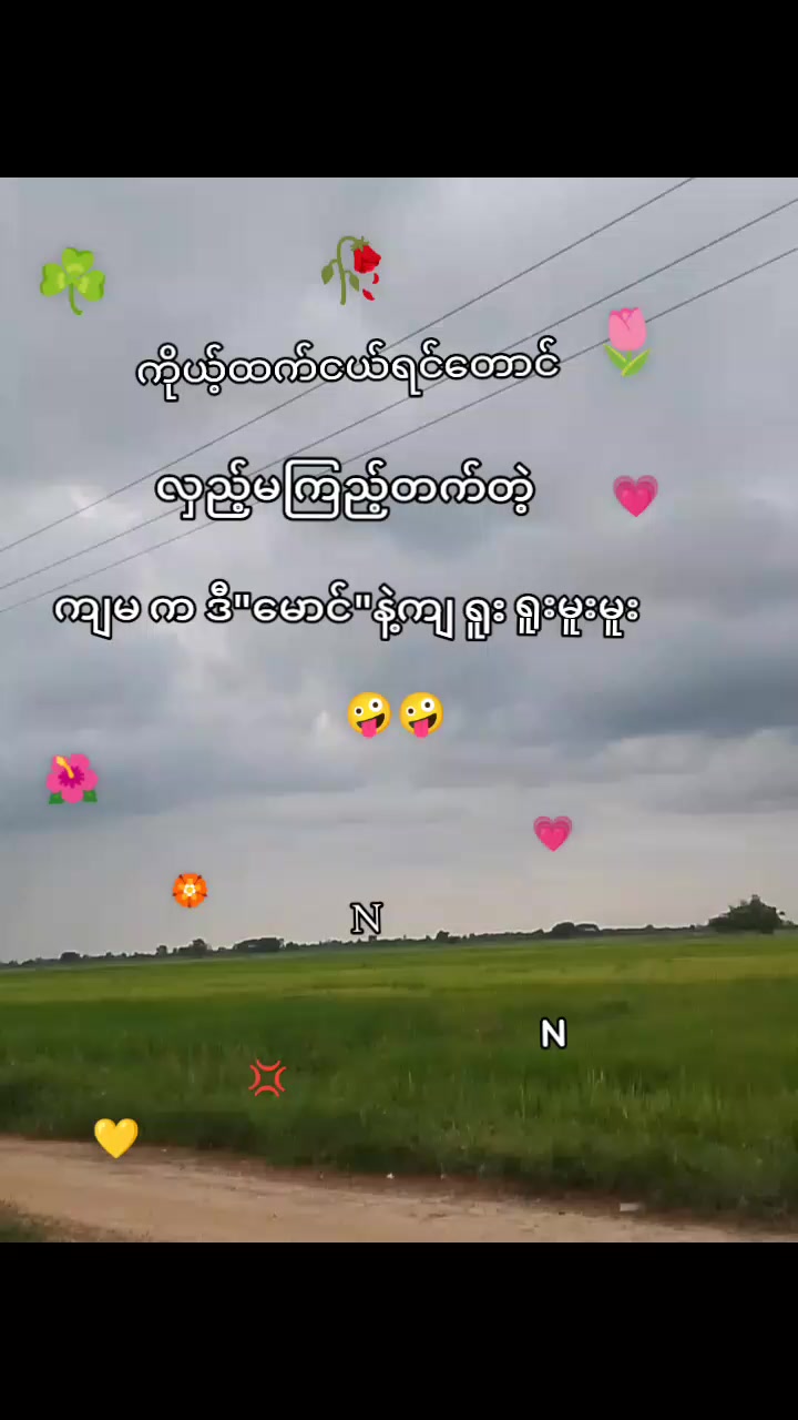 @💐နန်းသစ္စာ💐