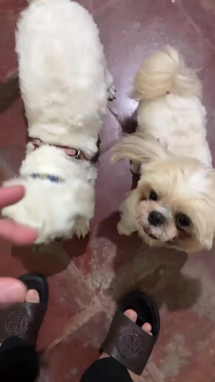 @AYOEK