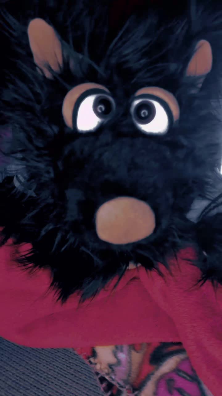 @Rocko-DerWolf