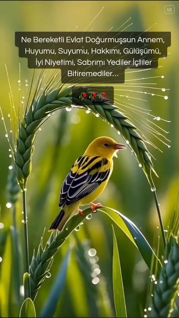 @📌Duyguu0835📌