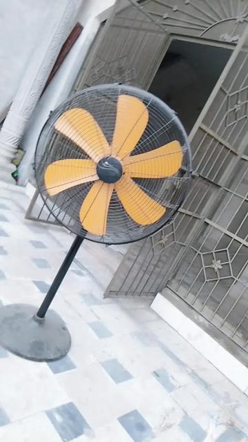 @Bushra786