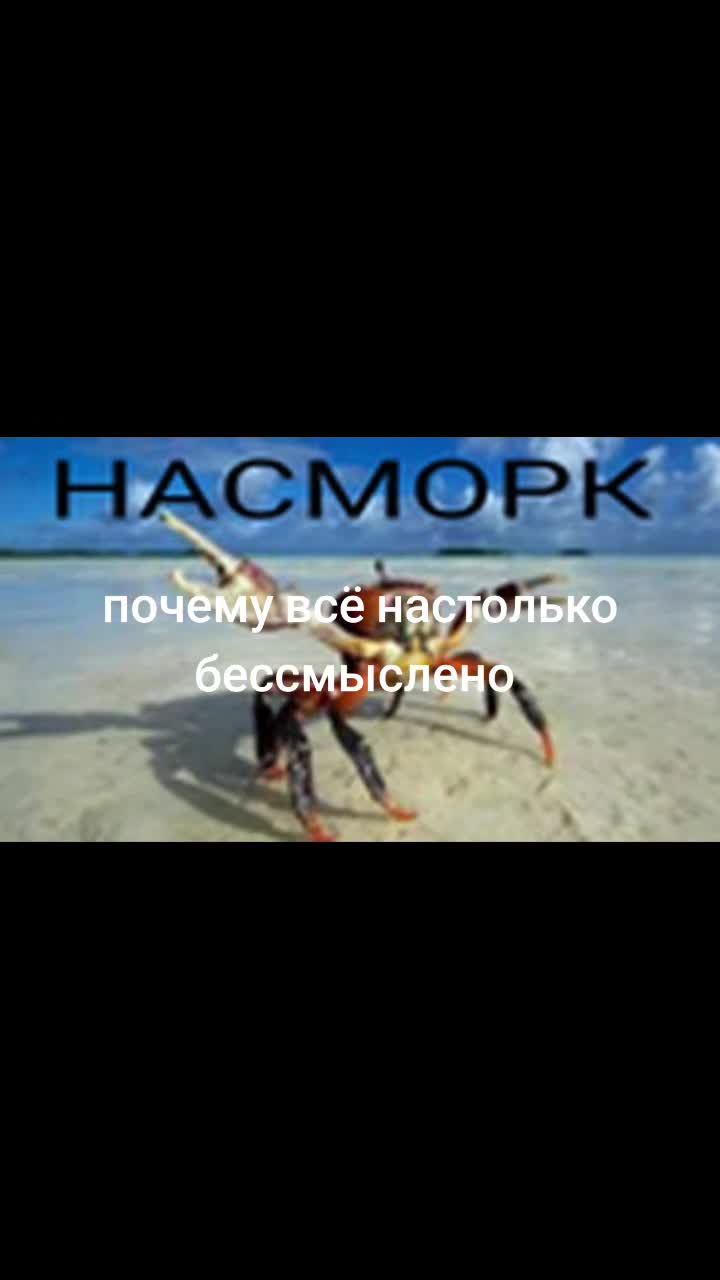 @1619