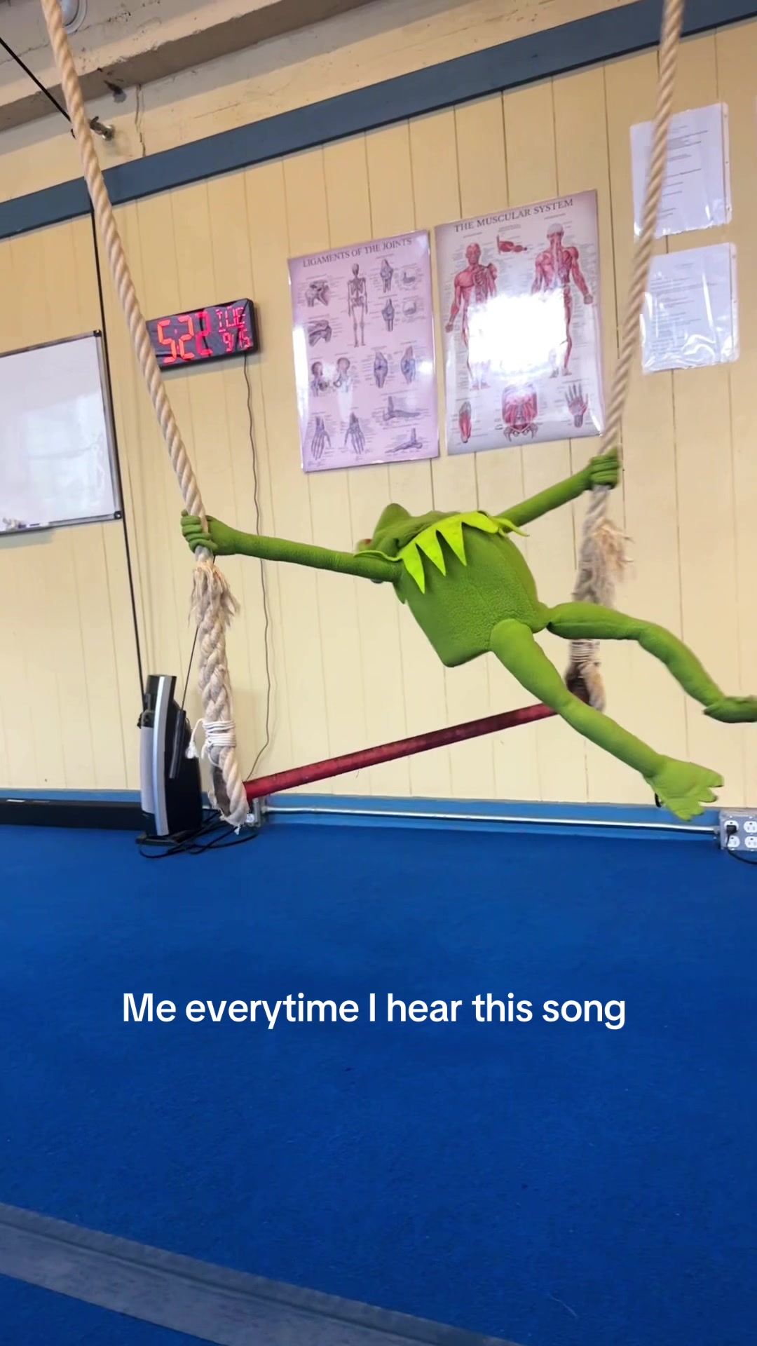 @🐸 Crashout Kermy 🐸