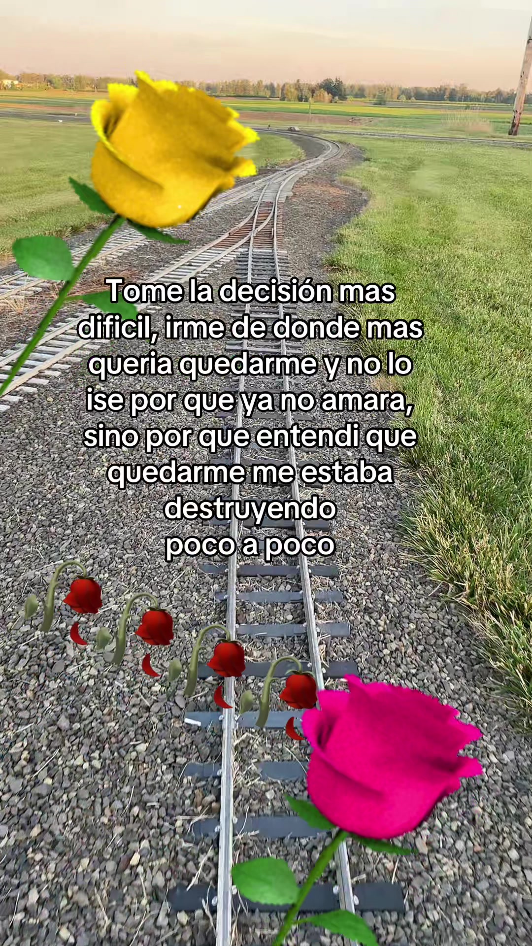 @💫⚡️✨👽pablocarbajal63👽✨⚡️💫