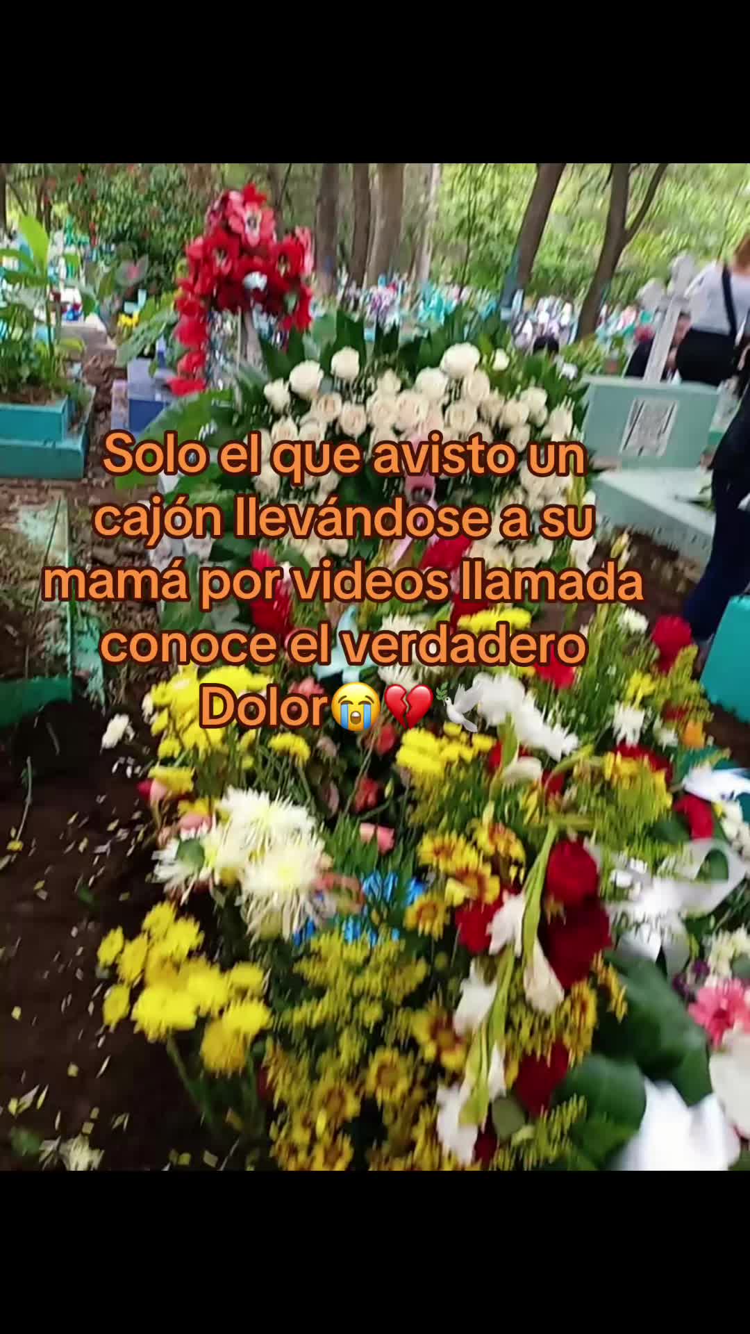 @Alessa❤️🇸🇻❤️