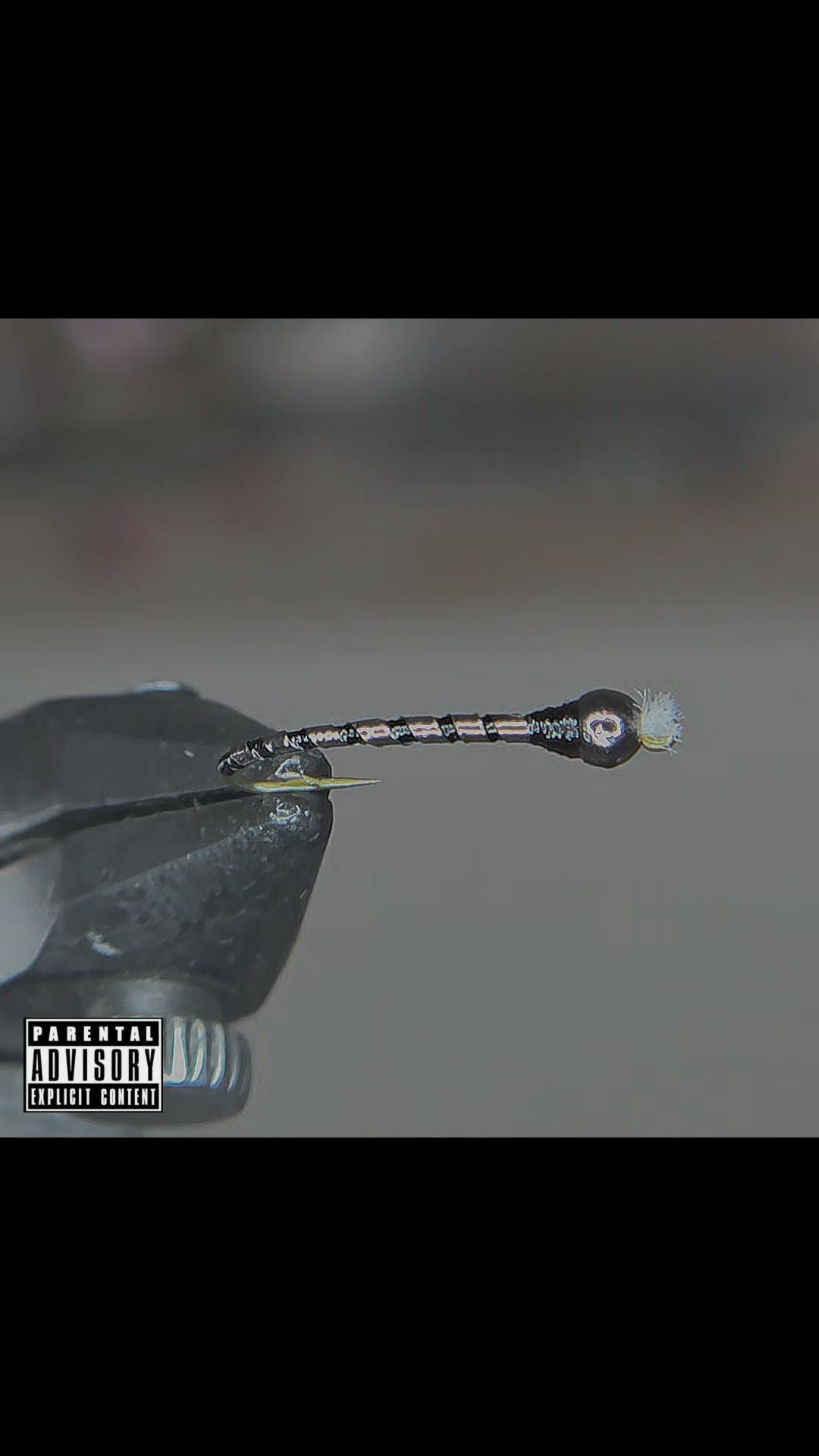 @ChasingTheHighOnFly.NM