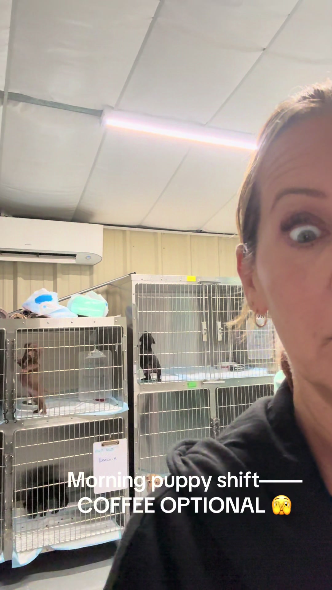 @AbandonedAnimalRescue