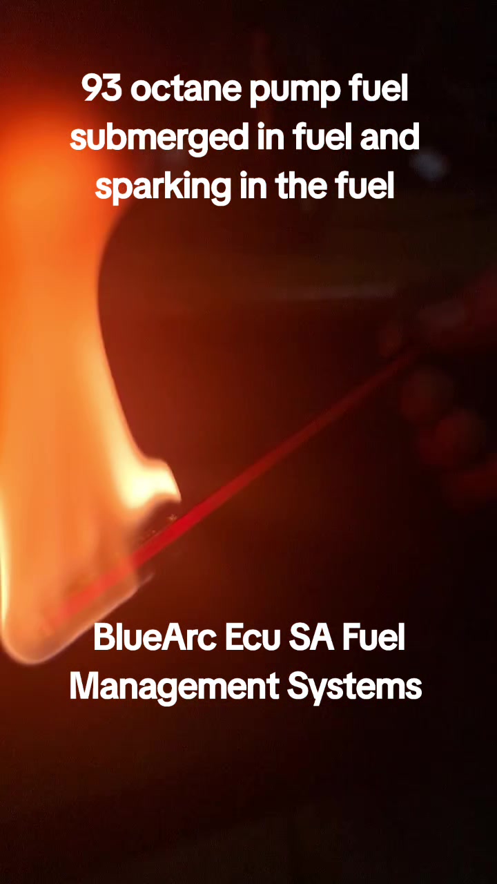 @BlueArc Ecu South Africa