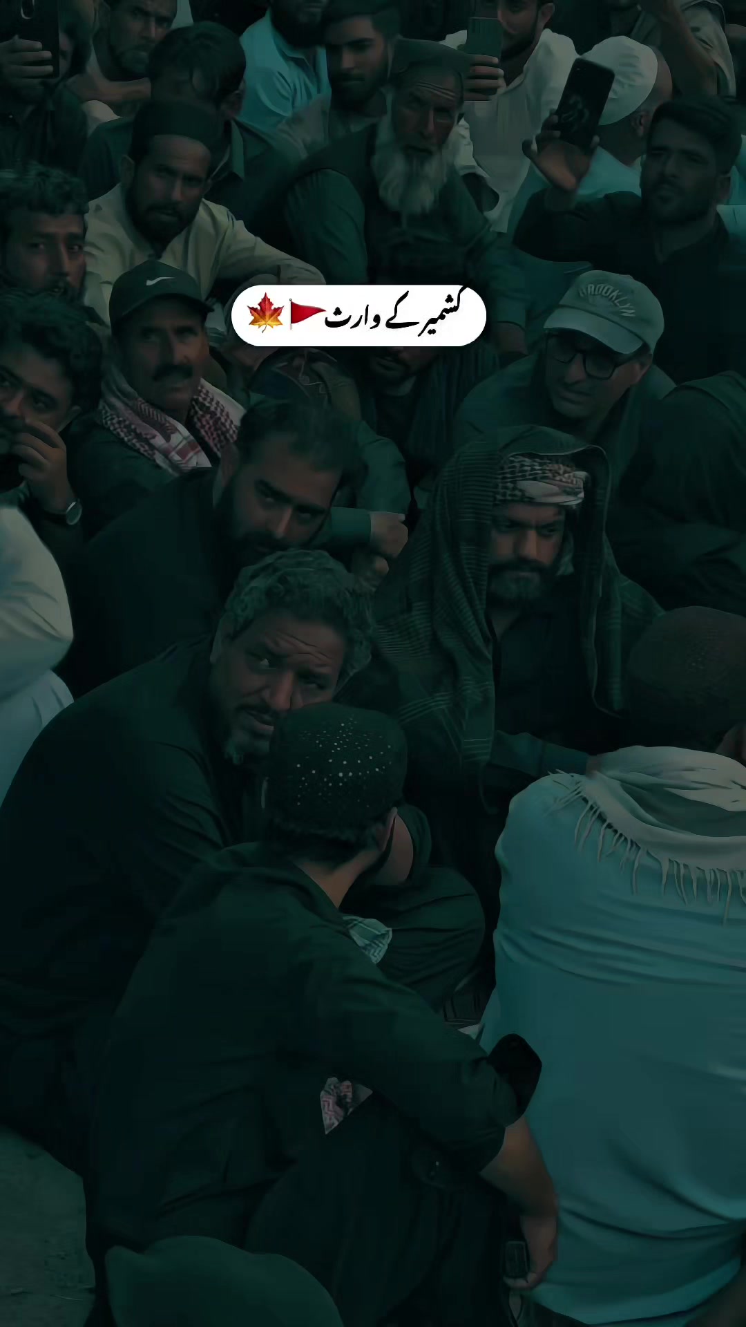 @جون ایلیاء