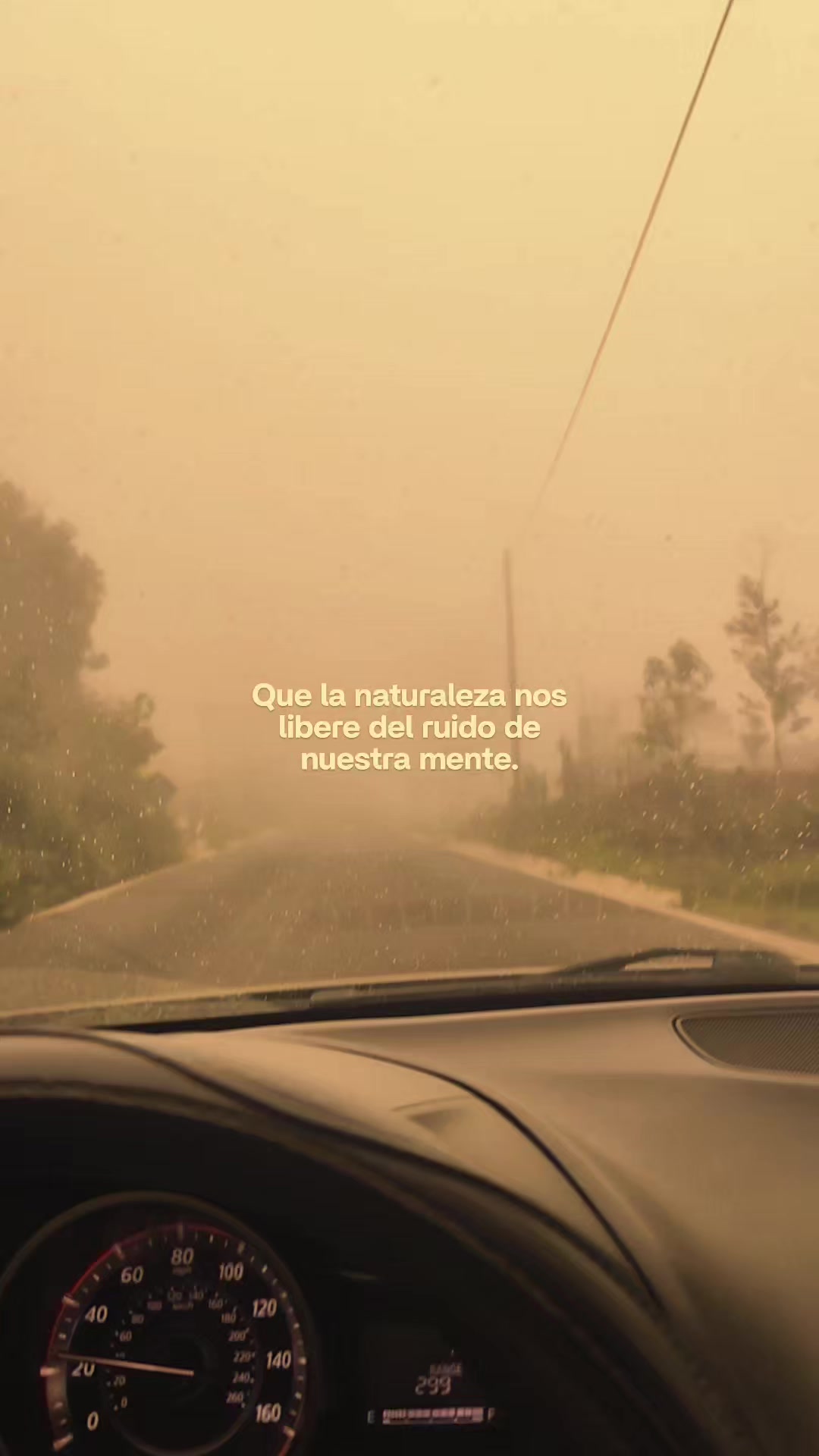 @Mily Gonzalez