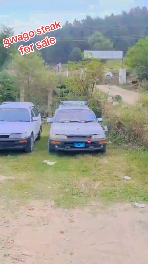 @ncpcarlover1