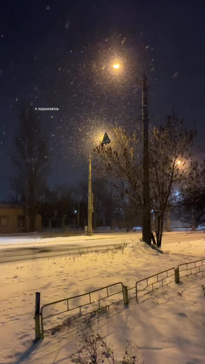 @viksis