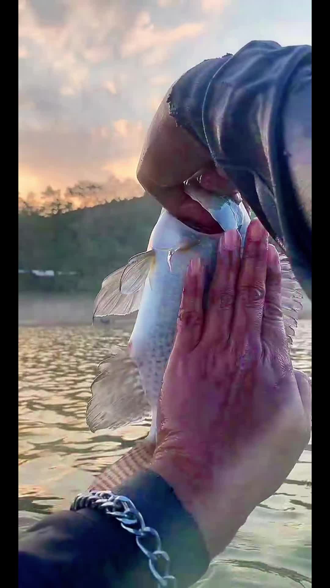 @MAFIA FISHING
