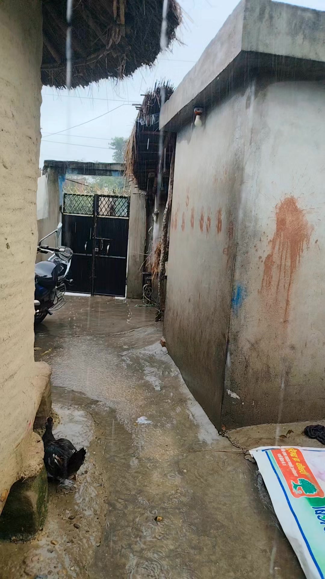 @Rahushahkanu0