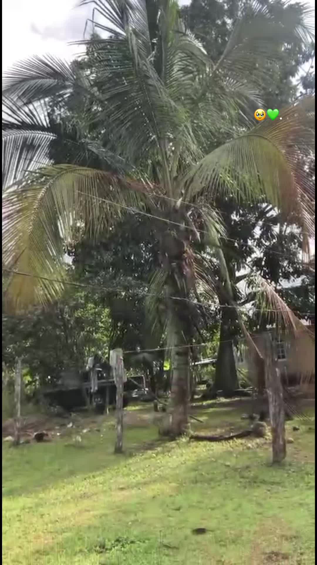 @canales022